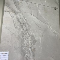 XR6001 LUGO (1 сорт) MEGAGRES фото 2