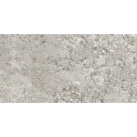 776584 PLIMATECH PLIMAGREY/02 6MM 60X120 RETT (1 сорт) FLORIM GROUP фото 1