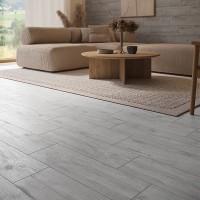 BRANTWOOD LIGHT GREY** (1 сорт) CERSANIT entry фото 1