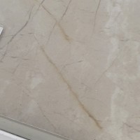 SALACIA FUSION (1 сорт) CERAMICA DESEO фото 7