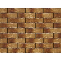 ELEWACJA RUSTICO DAKOTA (1 сорт) Cerrad фото 1