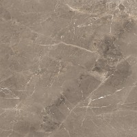 ALBI BROWN (1 сорт) MEGAGRES фото 5