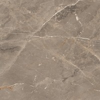 ALBI BROWN (1 сорт) MEGAGRES фото 3