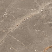 ALBI BROWN (1 сорт) MEGAGRES фото 2