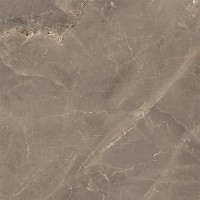 ALBI BROWN (1 сорт) MEGAGRES фото 4