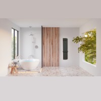 Радіатор електричний Whole Wall_2.0, з тримачем для рушників та халатів, Led-підсвітка, колір чорний Deweit фото 1