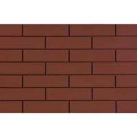 ELEWACJA BURGUND (1 сорт) Cerrad фото 1