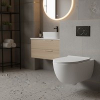 AP118S+QKCW09 APP Унітаз підвісний GoSilent+кришка Soft Close, білий (1 сорт) FLAMINIA фото 5