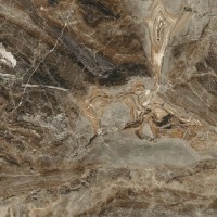 Vesuvio Коричневий 4F7520 (1 сорт) CERAMICA DESE0
