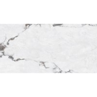 B12630 SANTANDER (1 сорт) MEGAGRES фото 4