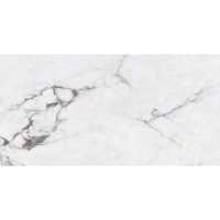 B12630 SANTANDER (1 сорт) MEGAGRES фото 2