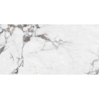 B12630 SANTANDER (1 сорт) MEGAGRES фото 1