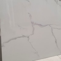 CB6Y025PA CARRARA (1 сорт) MEGAGRES фото 2