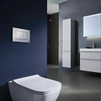 115.137.46.1 Delta20 square Клавіша змиву з подвійним змивом: Матовий хром (1 сорт) Geberit фото 4