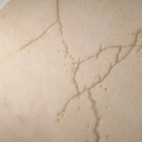 ATL52RT ATL COZY MARFIL 60X120 NATURAL RIFT (1 сорт) NovaBell фото 7