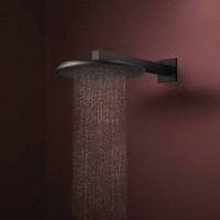 24520670 HG Raindance Alive S Верхній душ 300 1jet, чорний матовий (1 сорт) HANSGROHE фото 4