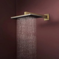 24530140 HG Raindance Alive Q Верхній душ 210/340 1jet, brushed bronze (1 сорт) HANSGROHE фото 2