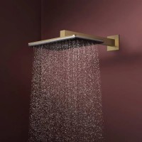 24530140 HG Raindance Alive Q Верхній душ 210/340 1jet, brushed bronze (1 сорт) HANSGROHE фото 3