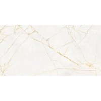 0017238 SPR.HEDON. GOLD SPID. LUX 3D R 60X120 (1 сорт) FLAVIKER