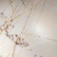 0017238 SPR.HEDON. GOLD SPID. LUX 3D R 60X120 (1 сорт) FLAVIKER фото 3