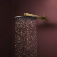 24520140 HG Raindance Alive S Верхній душ 300 1jet, brushed bronze (1 сорт) HANSGROHE фото 3