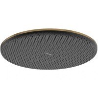 24520140 HG Raindance Alive S Верхній душ 300 1jet, brushed bronze (1 сорт) HANSGROHE фото 1