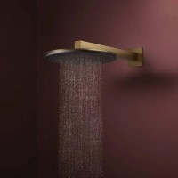 24520140 HG Raindance Alive S Верхній душ 300 1jet, brushed bronze (1 сорт) HANSGROHE фото 2
