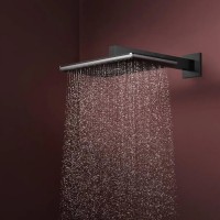 24530670 HG Raindance Alive Q Верхній душ 210/340 1jet, чорний матовий (1 сорт) HANSGROHE фото 3