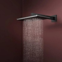 24530670 HG Raindance Alive Q Верхній душ 210/340 1jet, чорний матовий (1 сорт) HANSGROHE фото 2