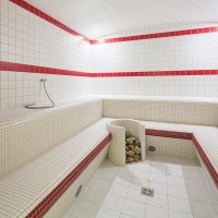COLOR TWO GAA1K459 red matt (1 сорт) Lasselsberger Rako фото 1