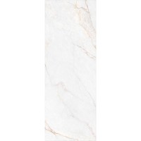 DAHLIA WHITE SP/100X275/R (1 сорт) Peronda фото 1