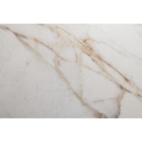 DAHLIA WHITE SP/100X275/R (1 сорт) Peronda фото 2