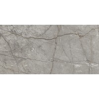 RADDIX GRISS (1 сорт) MEGAGRES фото 4