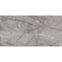 RADDIX GRISS (1 сорт) MEGAGRES фото 5