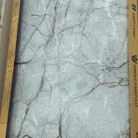 RADDIX GRISS (1 сорт) MEGAGRES фото 6