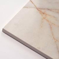 0017238 SPR.HEDON. GOLD SPID. LUX 3D R 60X120 (1 сорт) FLAVIKER фото 6