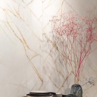 0017238 SPR.HEDON. GOLD SPID. LUX 3D R 60X120 (1 сорт) FLAVIKER фото 11