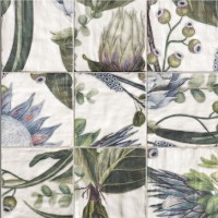 DECOR PROTEA (1 сорт) Mainzu