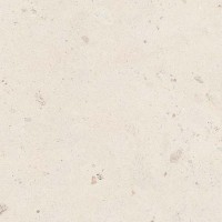 SHELL6 12 (1 сорт) LA FAENZA фото 2