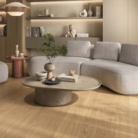 APRICOT6 2015 (1 сорт) LA FAENZA фото 3