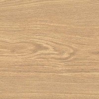 APRICOT6 2015 (1 сорт) LA FAENZA фото 1