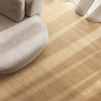 APRICOT6 2015 (1 сорт) LA FAENZA фото 4