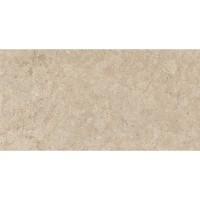 60x120(n) ALBA STONE GREIGE ### (1 сорт) PAMESA фото 1