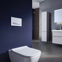 115.788.JX.2 Sigma50 Клавіша з подвійним змивом, колір хром, декоративне оздоблення чорний горіх (1  Geberit фото 7