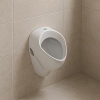 502.885.00.1 Felix Уринал, підвід зверху, відвід прихований або вниз, колір білий глянець (1 сорт) Geberit фото 4