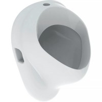 502.885.00.1 Felix Уринал, підвід зверху, відвід прихований або вниз, колір білий глянець (1 сорт) Geberit фото 5