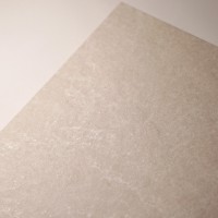 DPS82RT DPS LUNAR 60X120 RETT (1 сорт) NovaBell фото 6