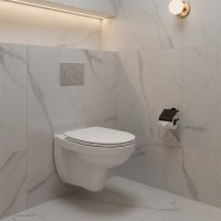 S701-554 СЕТ 469 CERSANIA SIMPLEON Унітаз підвісний з дюропластовим сидінням Soft Close (1 сорт) MITO фото 3