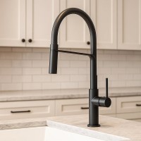 56110B LAGUNA Змішувач д/кухні, чорний матовий (1 сорт) Devit фото 2