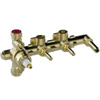 Z00135000000005 Внутрішня частина термостата для душа на 2 вих. APICE/PLY (1 сорт) Bossini